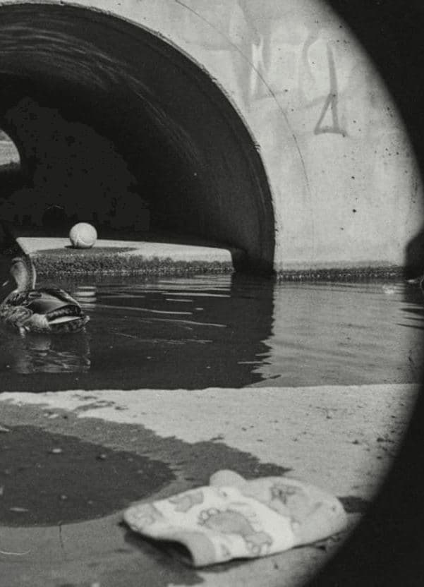 concrete dream, duck day — photograph by Deepa Basnet — MODULAR · 13 × 18 cm limited edition of 10