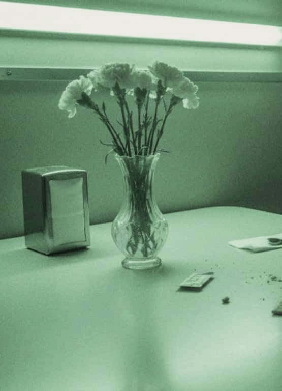Diner Booth with Carnations — photograph by Amara Perera — MODULAR · 13 × 18 cm limited edition of 10