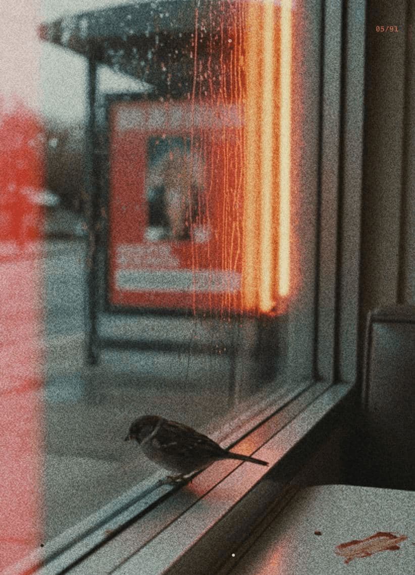 Diner Window with a Stirrer — photograph by Iain Fraser-Campbell — MODULAR · 13 × 18 cm limited edition of 10