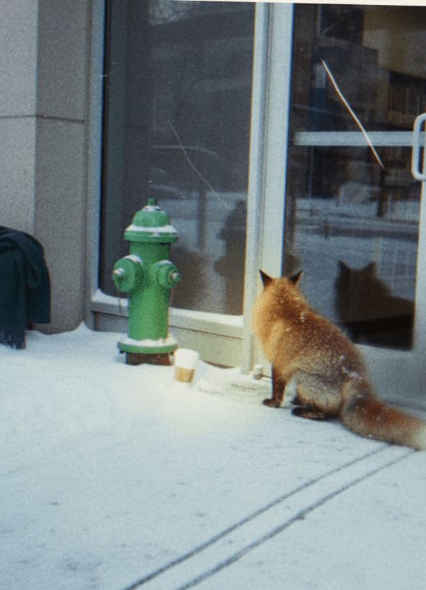 Don't Come Back Tomorrow — photograph by Marcus Keane — MODULAR · 13 × 18 cm limited edition of 10
