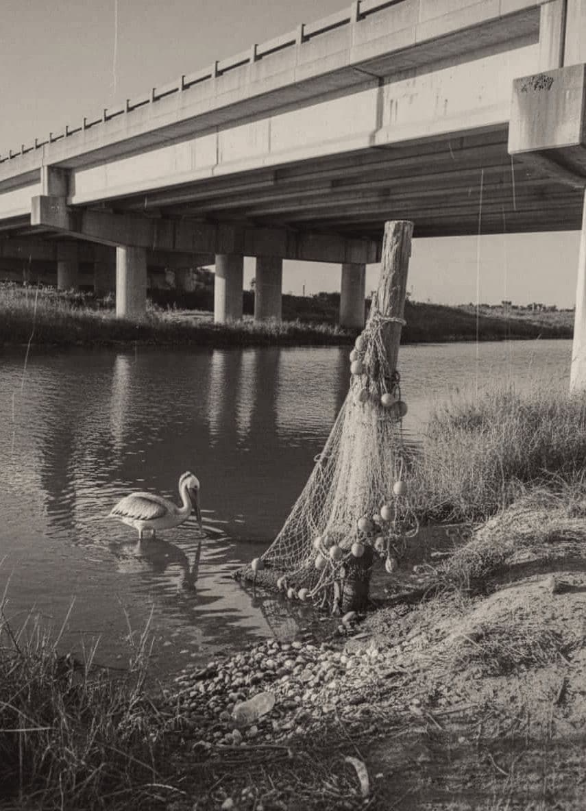 Picking at the Shallows — photograph by Akiko Tatsumi — MODULAR · 13 × 18 cm limited edition of 10