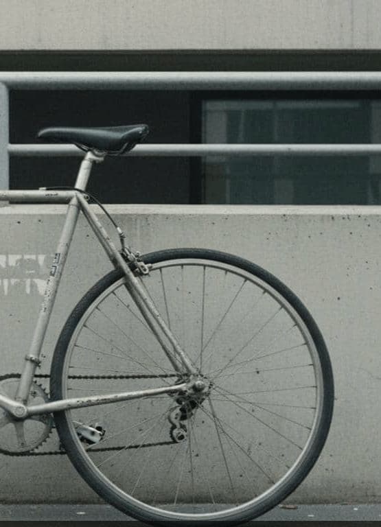 Raleigh Against the Railing — photograph by Klara Mertz — MODULAR · 13 × 18 cm limited edition of 10