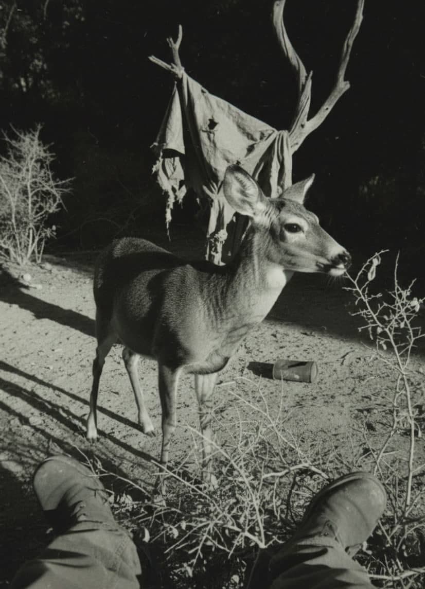 Tarp Snagged in the Arroyo — photograph by Marcus Keane — MODULAR · 13 × 18 cm limited edition of 10