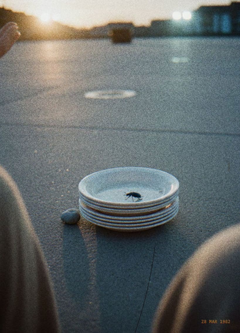 The Beetle Wins the Peak — photograph by Marcus Keane — MODULAR · 13 × 18 cm limited edition of 10