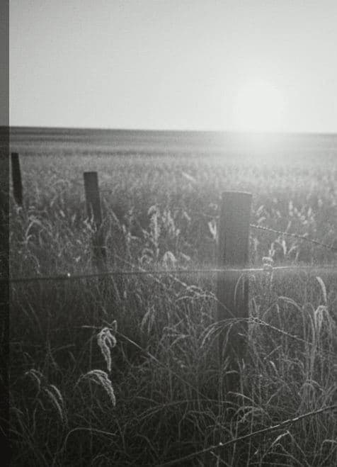 The Prairie Kite — photograph by Henri de Bruyn — MODULAR · 13 × 18 cm limited edition of 10