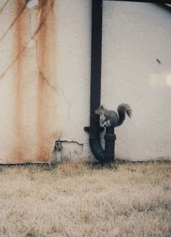the rust on the downpipe — photograph by Marcus Keane — MODULAR · 13 × 18 cm limited edition of 10