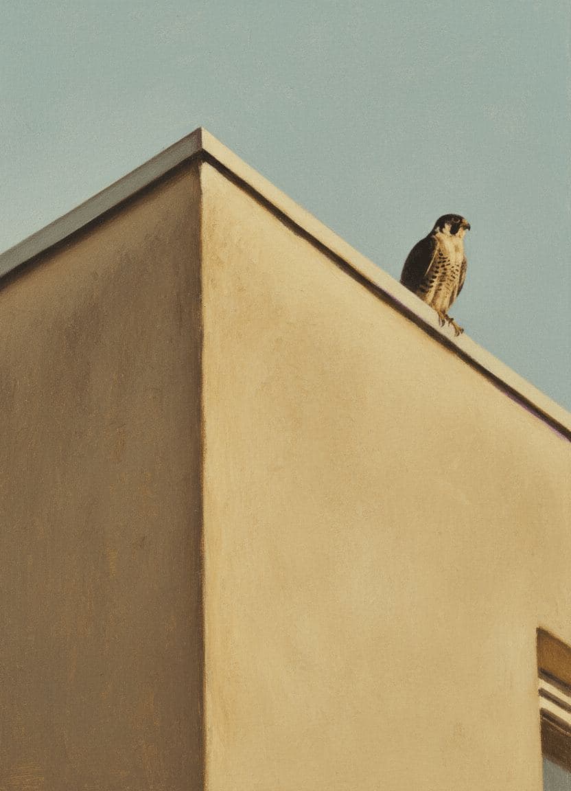 The Trembling Feather — collage by Salim Ouattara — MODULAR · 13 × 18 cm limited edition of 10