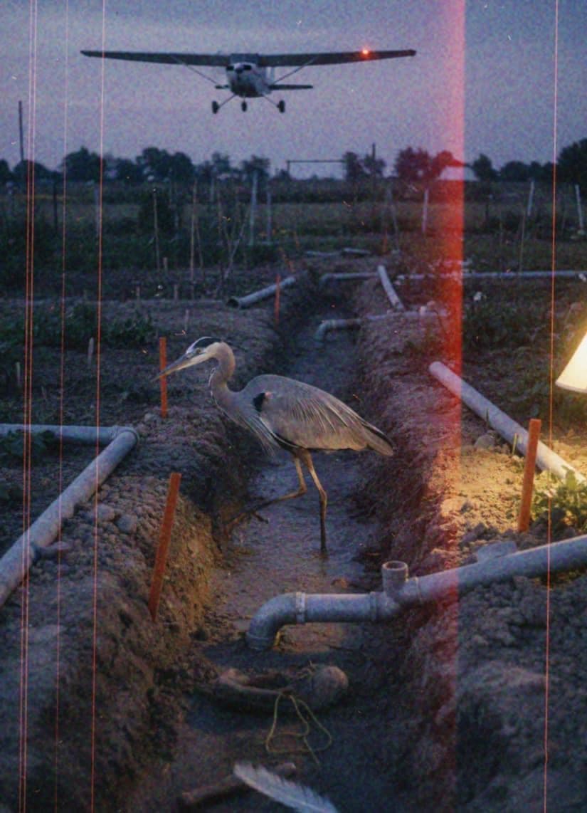 Untitled (Trench, Dawn) — photograph by Marcus Keane — MODULAR · 13 × 18 cm limited edition of 10