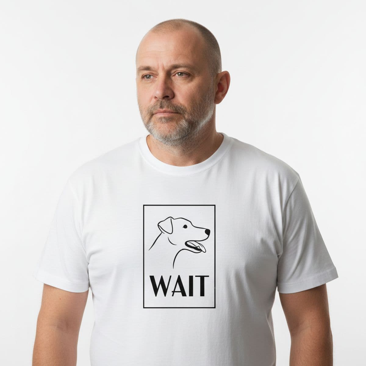 The Cyclist at Four Seventeen printed on a t-shirt, worn