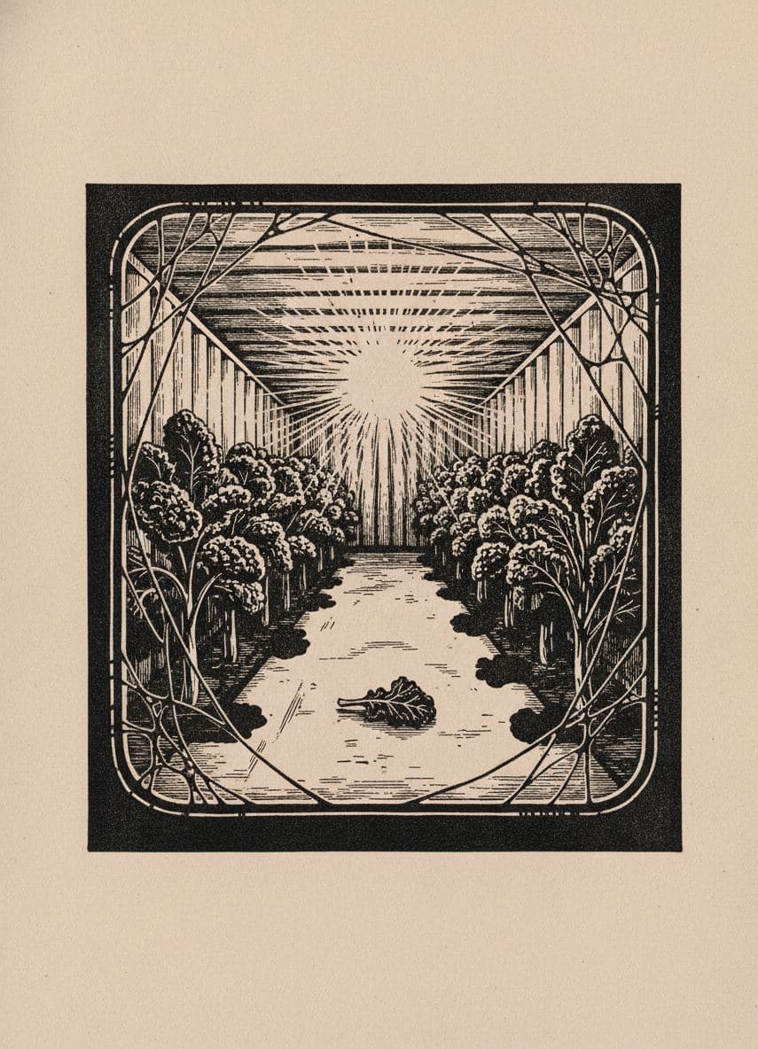 Grow Lights in a Shipping Container — print by Yuko Shimizu-Tachibana — MODULAR · a one-of-a-kind original