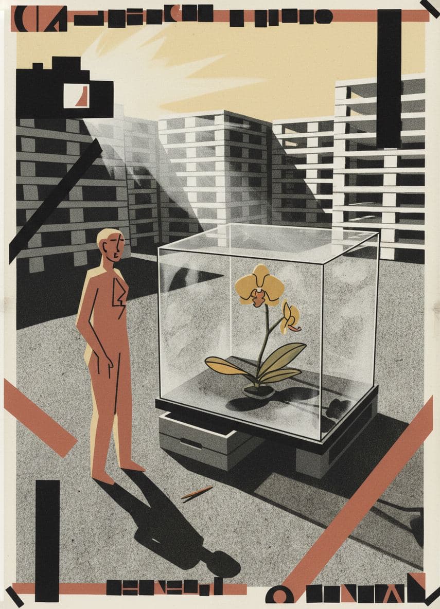 The Orchid Contests the Pallet — print by Irmela Bechmann — MODULAR · a one-of-a-kind original