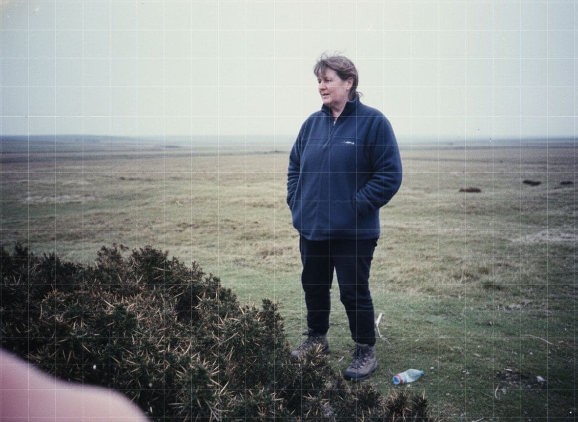 Untitled (Moorland, Wind) — Viktor Eklund · MODULAR one-of-a-kind original
